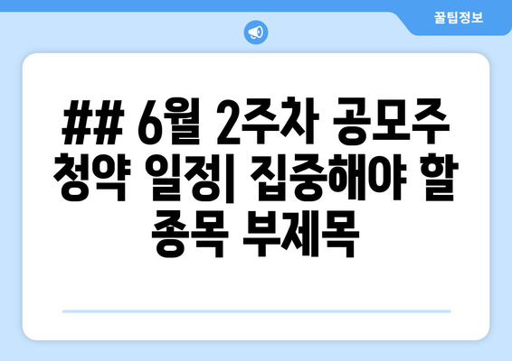 ## 6월 2주차 공모주 청약 일정| 집중해야 할 종목 부제목