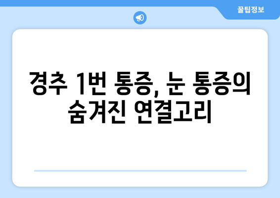 경추 1번 통증, 좌상근통과 눈통증의 복잡한 연관성| 원인과 증상, 해결 방안 | 목 통증, 두통, 눈 통증, 근막통 증후군, 척추 건강