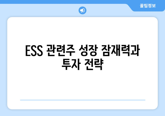 ESS 관련주 성장 잠재력과 투자 전략