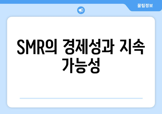 SMR의 경제성과 지속 가능성