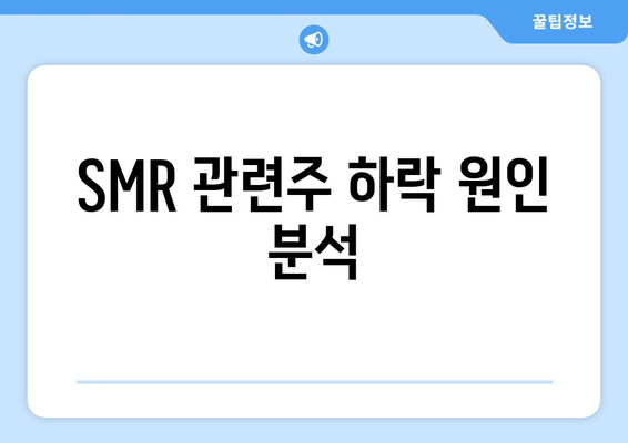 SMR 관련주 하락 원인 분석