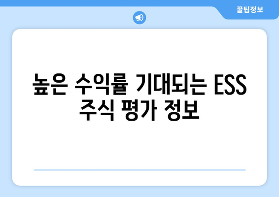 높은 수익률 기대되는 ESS 주식 평가 정보