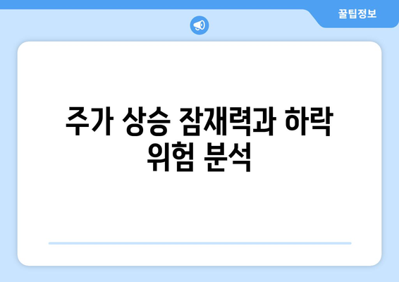 주가 상승 잠재력과 하락 위험 분석