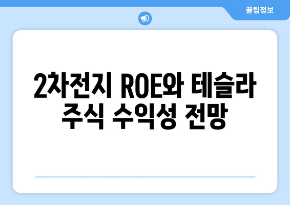 2차전지 ROE와 테슬라 주식 수익성 전망