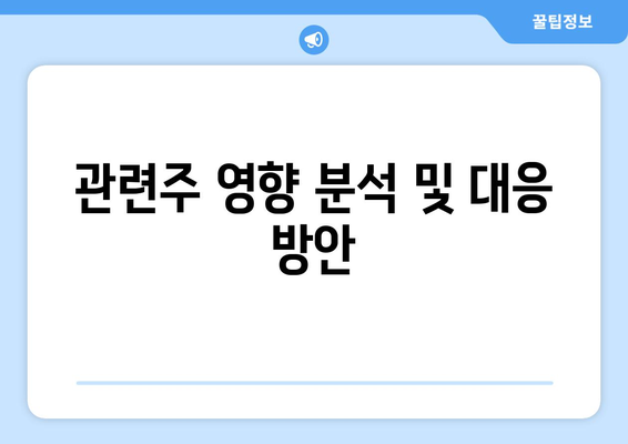 관련주 영향 분석 및 대응 방안