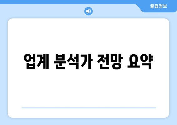 업계 분석가 전망 요약