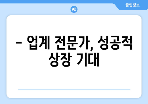 - 업계 전문가, 성공적 상장 기대