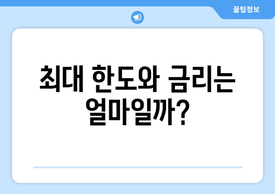 최대 한도와 금리는 얼마일까?