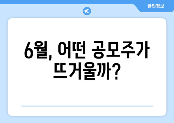 6월, 어떤 공모주가 뜨거울까?