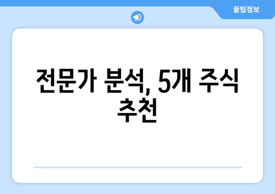 전문가 분석, 5개 주식 추천