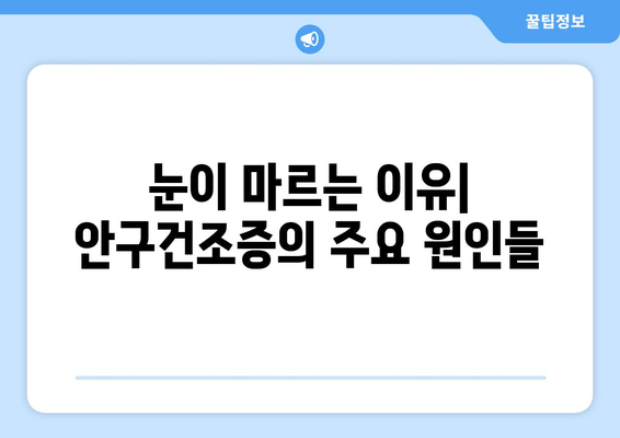 안구 건조증, 눈 통증 유발하는 이유| 원인과 해결책 | 눈 건조증, 안구 통증, 증상, 관리법