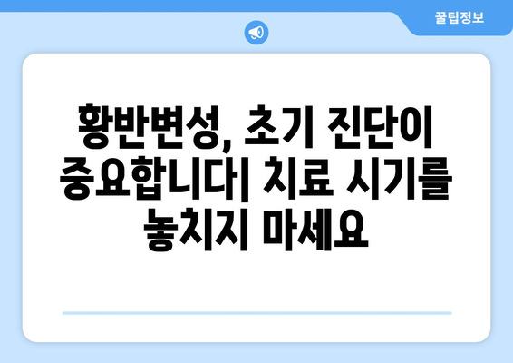 눈통과 황반변성| 알아야 할 정보와 관리 방법 | 눈 건강, 시력 저하, 노화