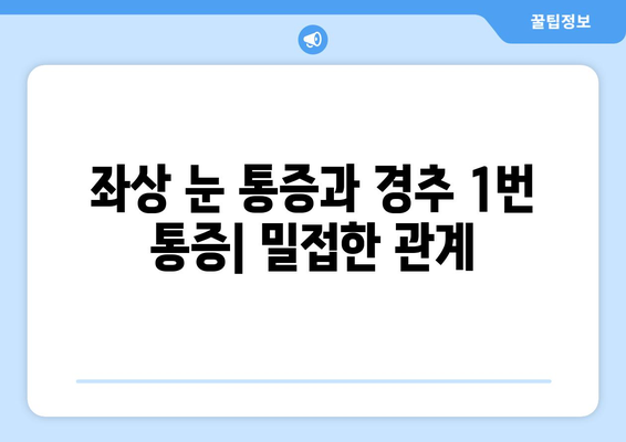 경추 1번 통증과 좌상 눈통증, 동반 증상| 원인과 증상, 치료법 알아보기 | 목 통증, 눈 통증, 두통, 어지럼증, 척추