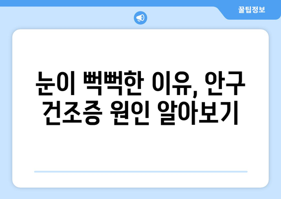 안구 건조증, 눈 통증의 원인과 해결책| 5가지 관리법 | 눈 건조증, 눈 통증, 안구 건조증 관리