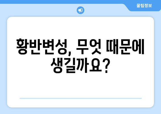 황반변성, 이제 두려워하지 마세요! | 망막질환 황반변성 원인, 증상, 치료법 완벽 가이드