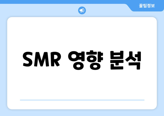 SMR 영향 분석