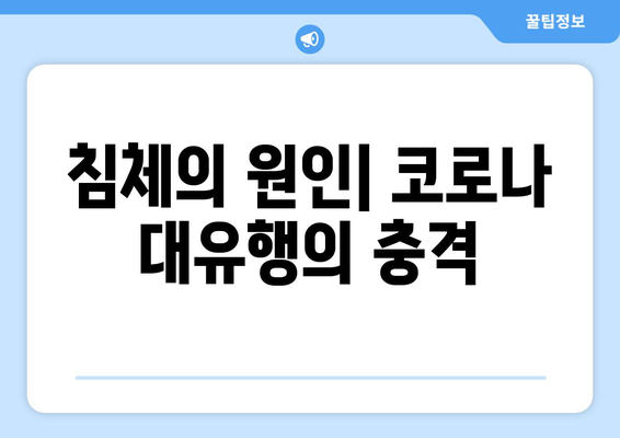 침체의 원인| 코로나 대유행의 충격