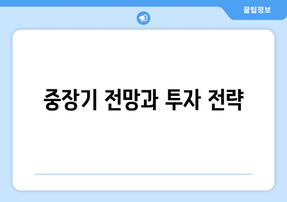 중장기 전망과 투자 전략