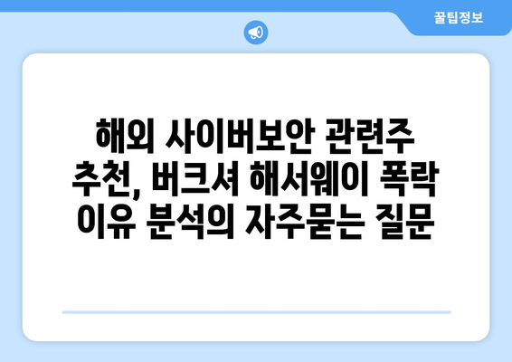 해외 사이버보안 관련주 추천, 버크셔 해서웨이 폭락 이유 분석