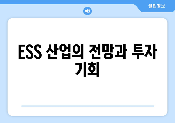 ESS 산업의 전망과 투자 기회