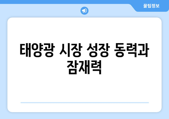 태양광 시장 성장 동력과 잠재력