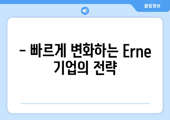 - 빠르게 변화하는 Erne 기업의 전략