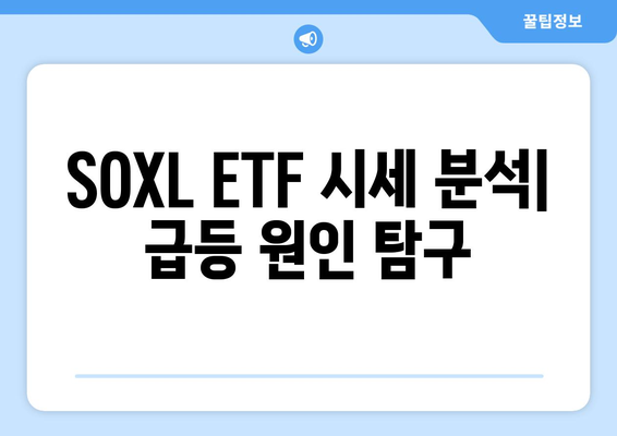 SOXL ETF 시세 분석| 급등 원인 탐구