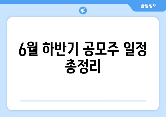 6월 하반기 공모주 일정 총정리