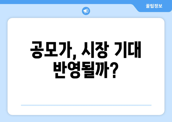 공모가, 시장 기대 반영될까?