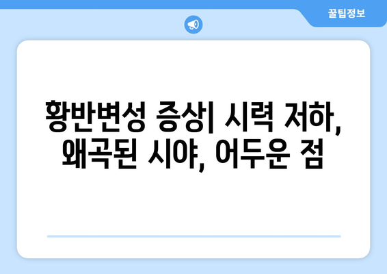 황반변성, 망막질환의 주요 원인과 치료 방법 | 황반변성 치료, 눈 건강, 시력 저하