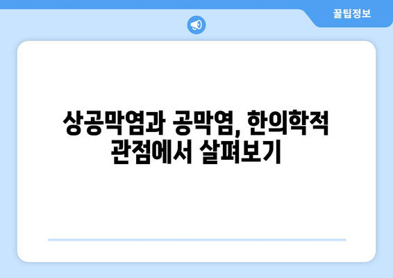 눈염증, 상공막염과 공막염| 증상과 한방 치료 옵션 | 눈 건강, 한의학, 자연 치유