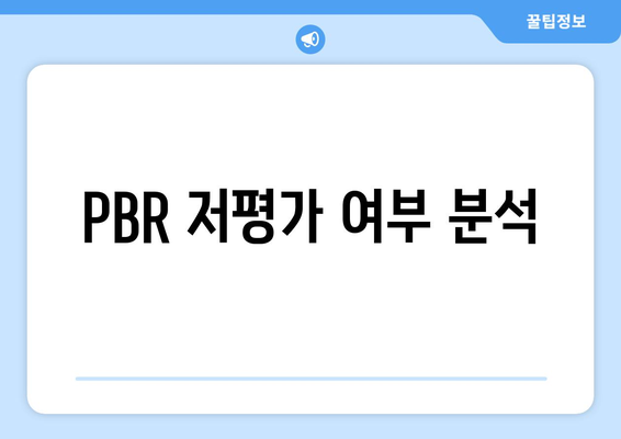 PBR 저평가 여부 분석