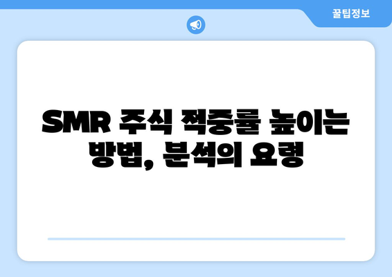 SMR 주식 적중률 높이는 방법, 분석의 요령