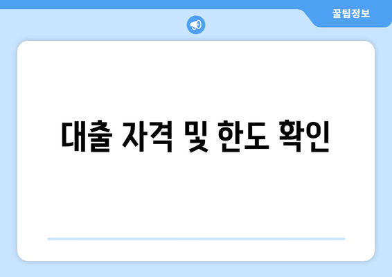 대출 자격 및 한도 확인