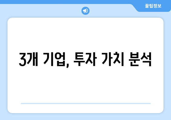 3개 기업, 투자 가치 분석