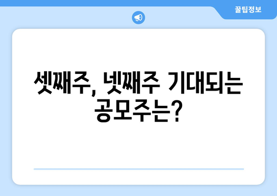 셋째주, 넷째주 기대되는 공모주는?