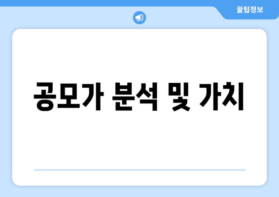 공모가 분석 및 가치