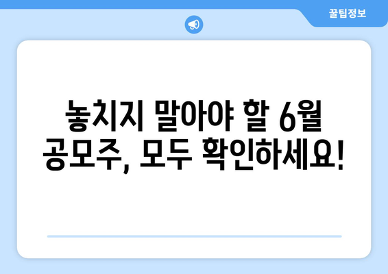 놓치지 말아야 할 6월 공모주, 모두 확인하세요!