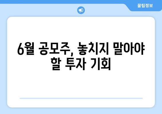 6월 공모주, 놓치지 말아야 할 투자 기회