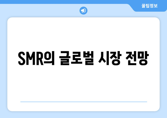 SMR의 글로벌 시장 전망