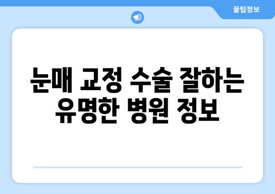 눈매 교정 수술로 아름다운 눈 모양을 만들고 싶다면? | 눈매 교정 수술 종류, 후기, 비용, 유명한 병원 정보