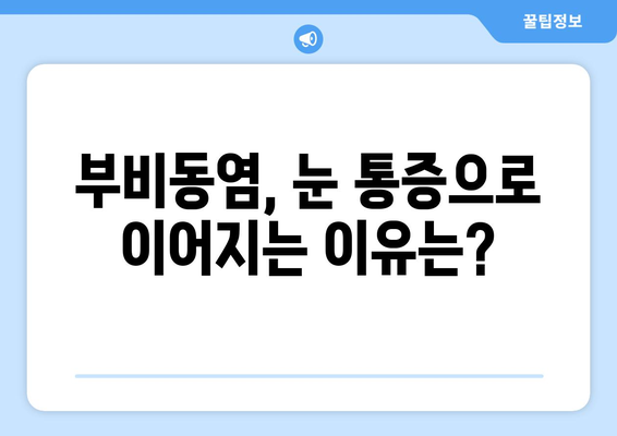 부비동염, 눈 통증과 시신경 압박| 원인과 증상, 치료법 | 부비동염, 눈 통증, 시신경, 안과 질환