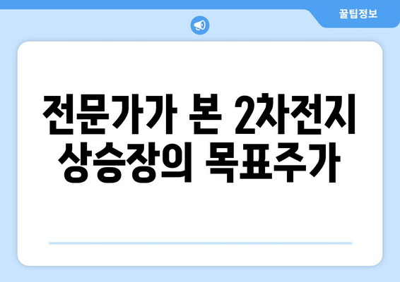 전문가가 본 2차전지 상승장의 목표주가