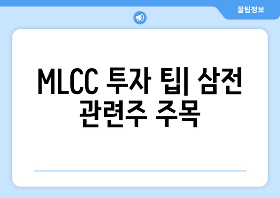 MLCC 투자 팁| 삼전 관련주 주목