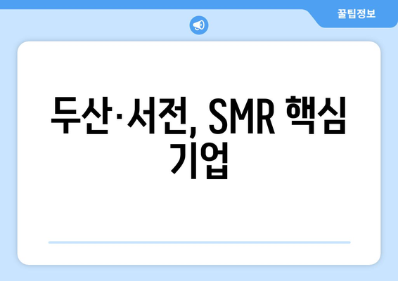 두산·서전, SMR 핵심 기업