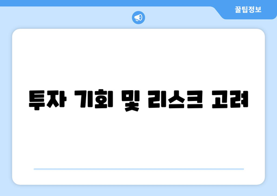 투자 기회 및 리스크 고려