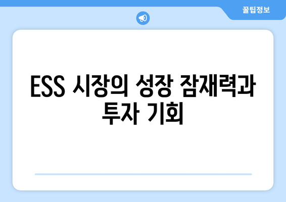 ESS 시장의 성장 잠재력과 투자 기회