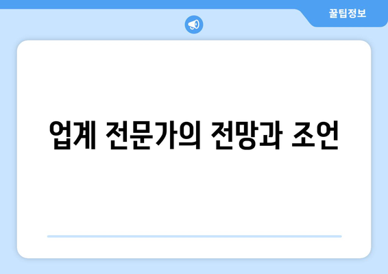 업계 전문가의 전망과 조언