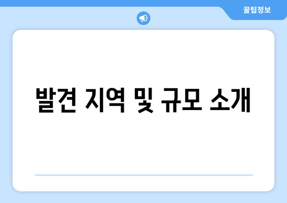 발견 지역 및 규모 소개