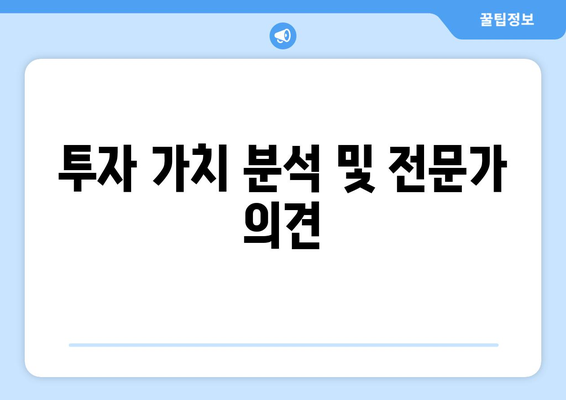 투자 가치 분석 및 전문가 의견